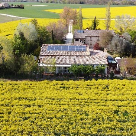 La Casa Di Tara B&B Armonia E Natura 雷卡纳蒂 外观 照片