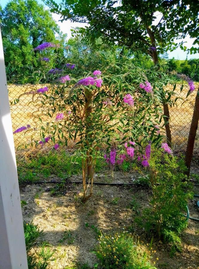 La Casa Di Tara B&B Armonia E Natura 雷卡纳蒂 外观 照片