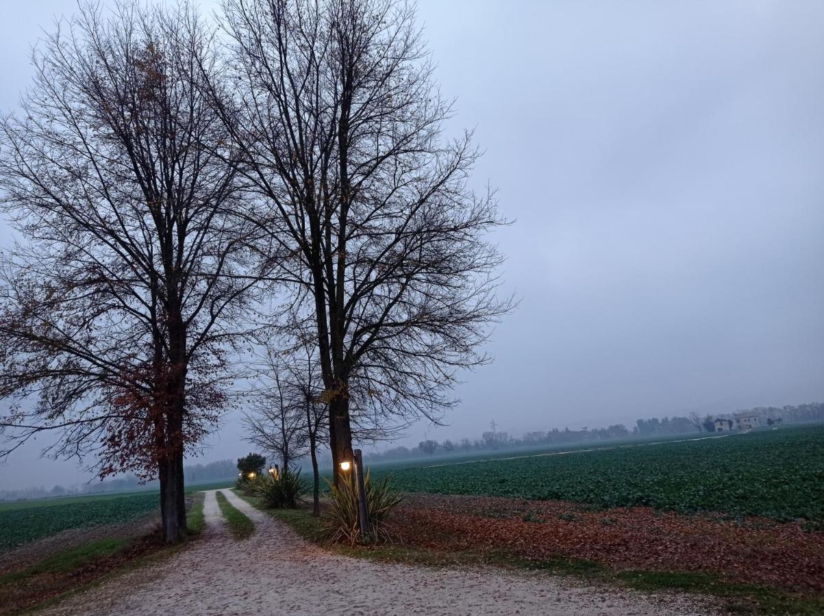 La Casa Di Tara B&B Armonia E Natura 雷卡纳蒂 外观 照片