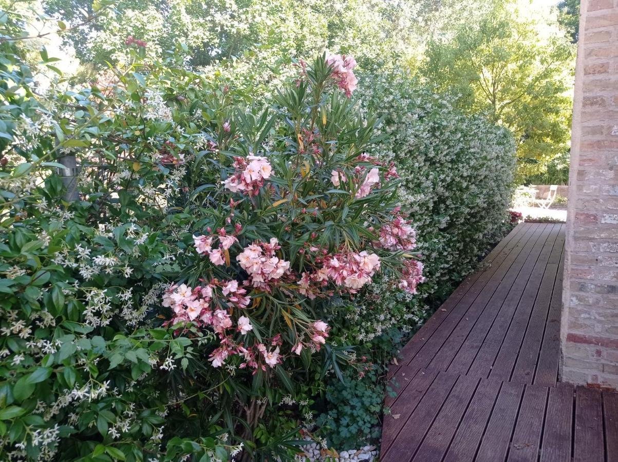 La Casa Di Tara B&B Armonia E Natura 雷卡纳蒂 外观 照片