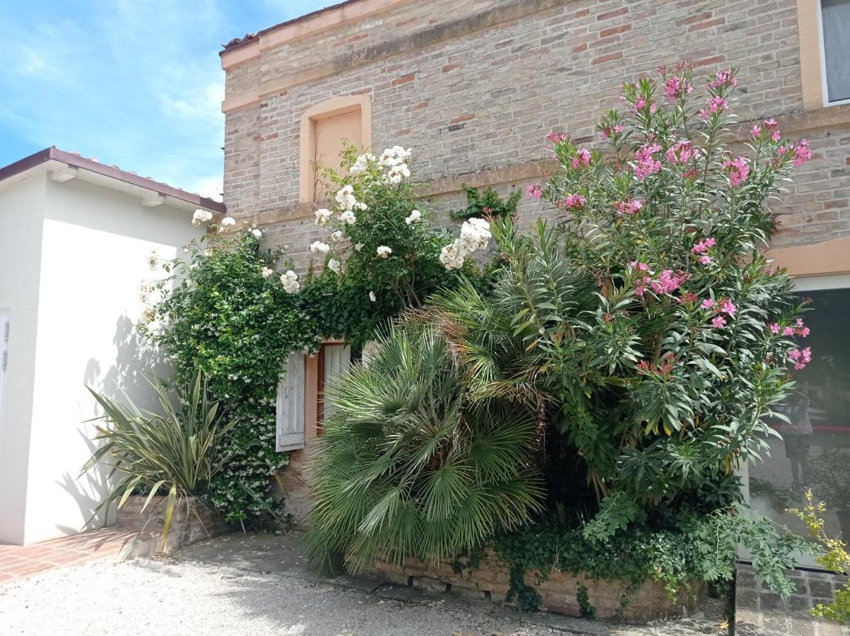 La Casa Di Tara B&B Armonia E Natura 雷卡纳蒂 外观 照片