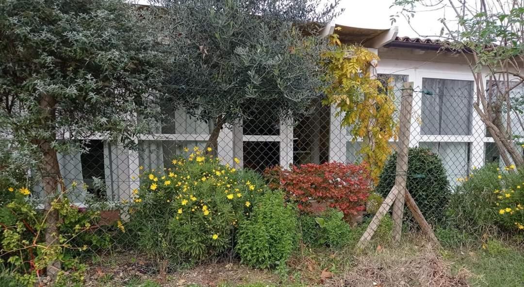 La Casa Di Tara B&B Armonia E Natura 雷卡纳蒂 外观 照片