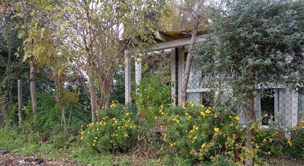La Casa Di Tara B&B Armonia E Natura 雷卡纳蒂 外观 照片