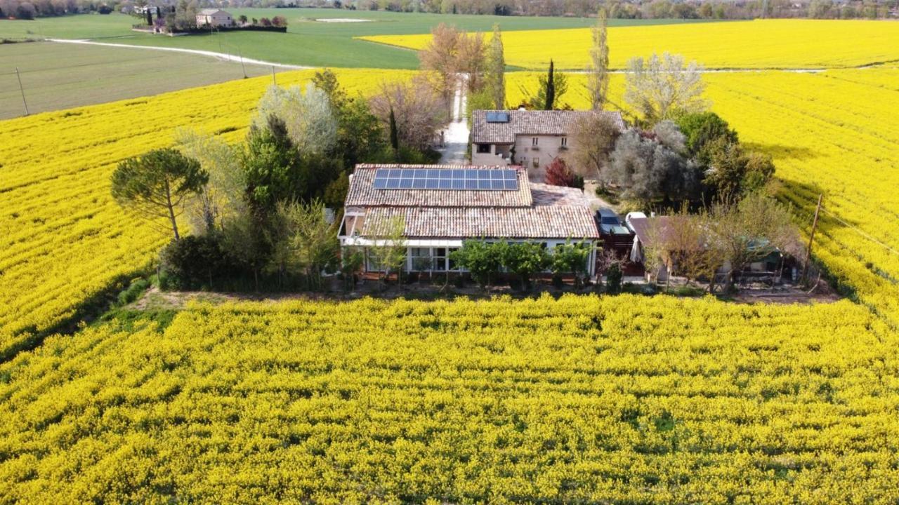 La Casa Di Tara B&B Armonia E Natura 雷卡纳蒂 外观 照片