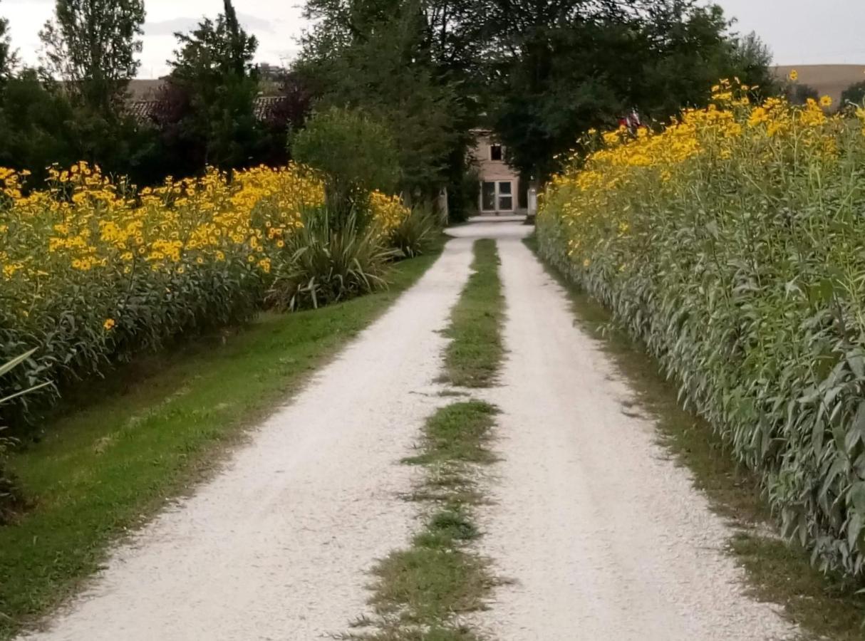 La Casa Di Tara B&B Armonia E Natura 雷卡纳蒂 外观 照片