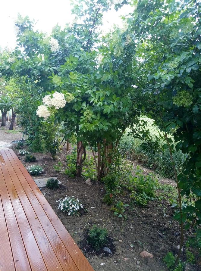 La Casa Di Tara B&B Armonia E Natura 雷卡纳蒂 外观 照片
