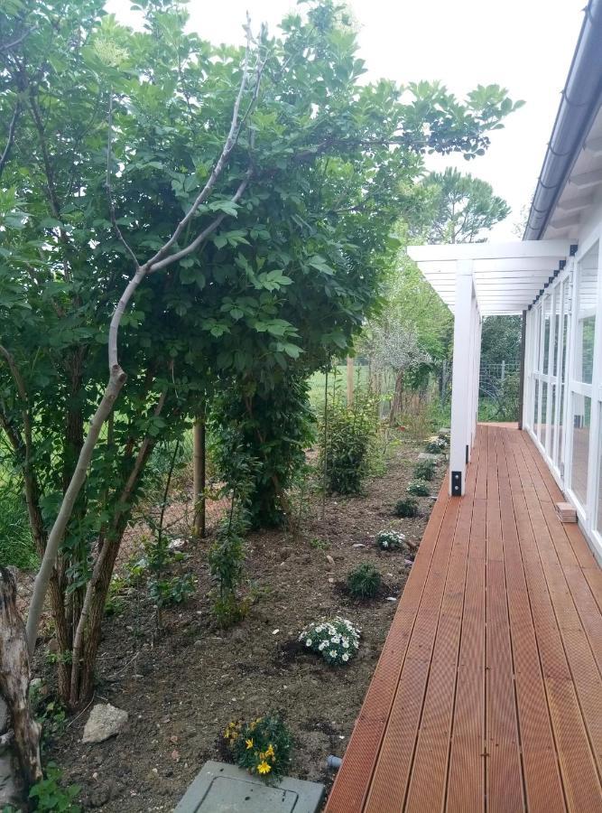 La Casa Di Tara B&B Armonia E Natura 雷卡纳蒂 外观 照片