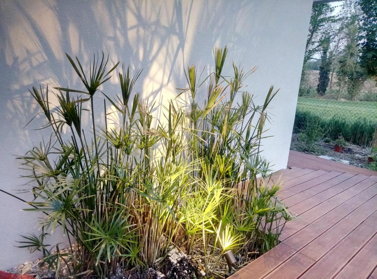 La Casa Di Tara B&B Armonia E Natura 雷卡纳蒂 外观 照片