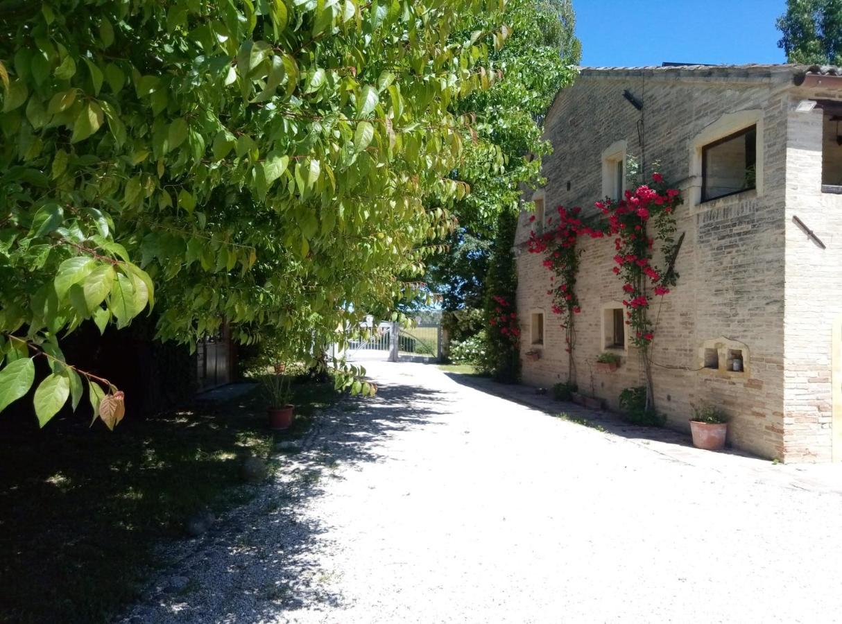 La Casa Di Tara B&B Armonia E Natura 雷卡纳蒂 外观 照片